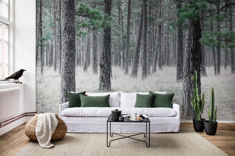 Fototapeta Pine Forest Rebel Walls (1)