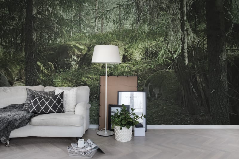 Fototapeta Virgin Forest Rebel Walls (2)