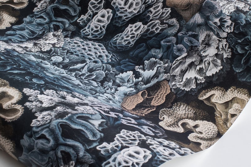 Tapeta Aquila Teal Rebel Walls (2)
