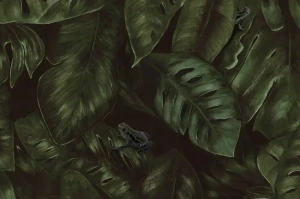 Tapeta Cameroon Fern Rebel Walls R17581