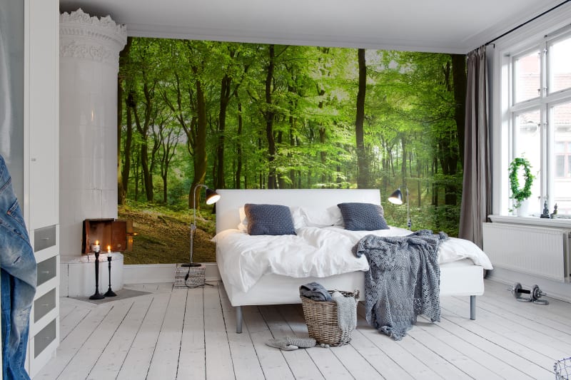 Fototapeta Forest Rebel Walls (2)