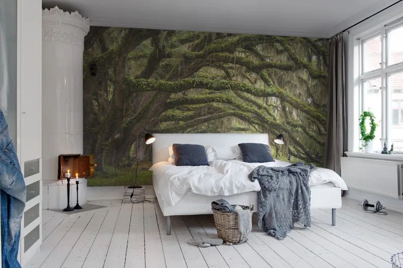 Fototapeta Fairy Forest Rebel Walls (2)