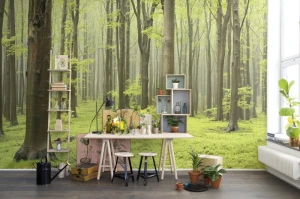 Fototapeta Deciduous Forest Rebel Walls R10101