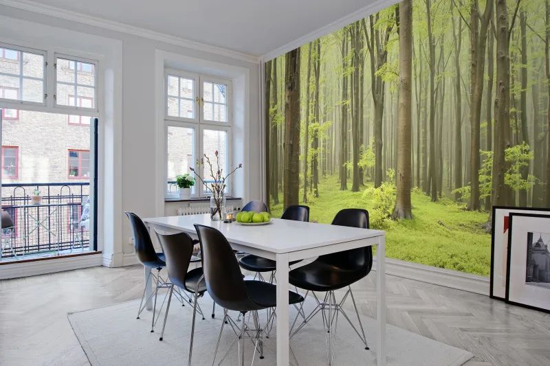 Fototapeta Deciduous Forest Rebel Walls (1)