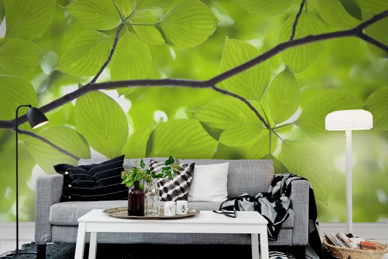 Fototapeta Leaves Rebel Walls (1)