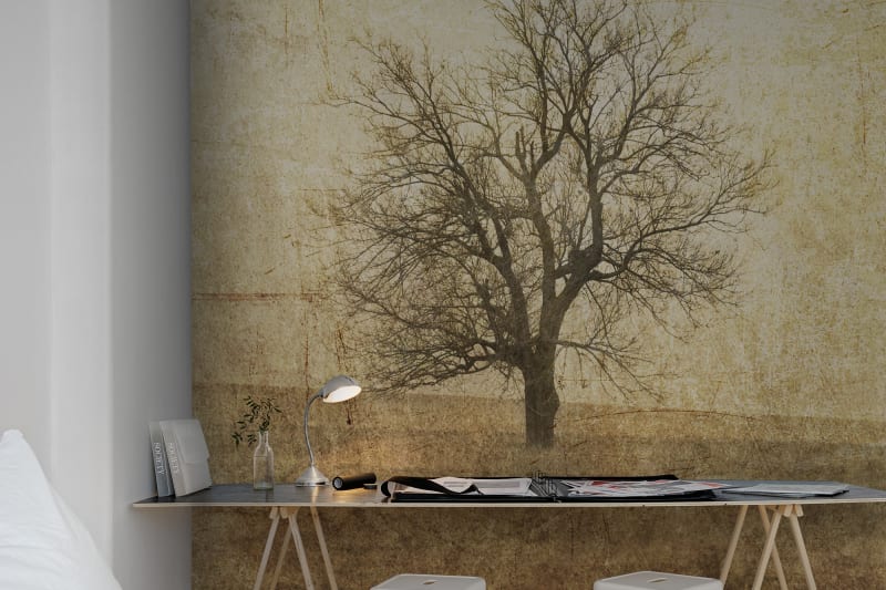 Fototapeta The Lonely Tree Rebel Walls (3)