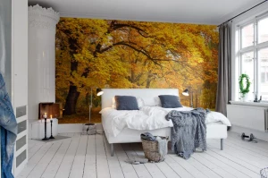 Fototapeta Yellow Leafy Trees Rebel Walls R10191