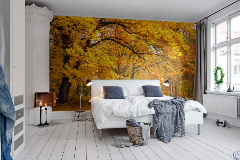 Fototapeta Yellow Leafy Trees Rebel Walls (1)