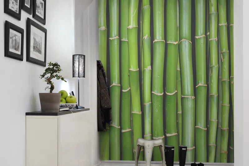 Fototapeta Bamboo Rebel Walls (1)
