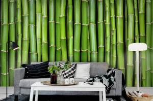 Fototapeta Bamboo Rebel Walls R11821