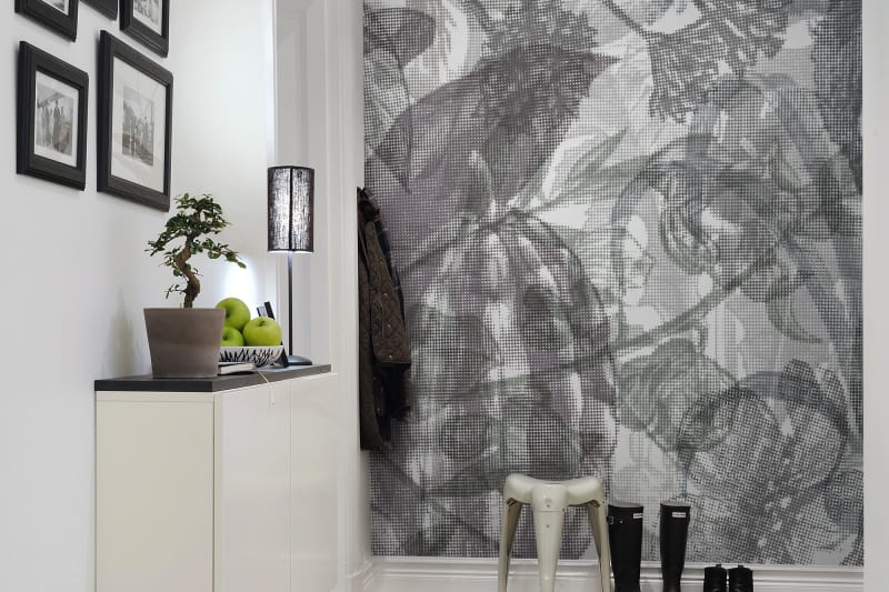Fototapeta Jelly Belly Plants black & white Rebel Walls (4)