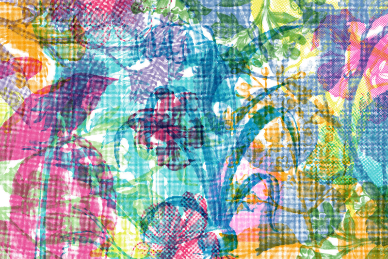 Fototapeta Jelly Belly Plants Rebel Walls (2)