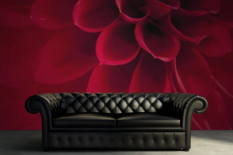 Fototapeta Dahlia Rebel Walls (3)