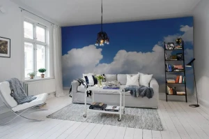 Fototapeta Happy Cloud Rebel Walls R11161