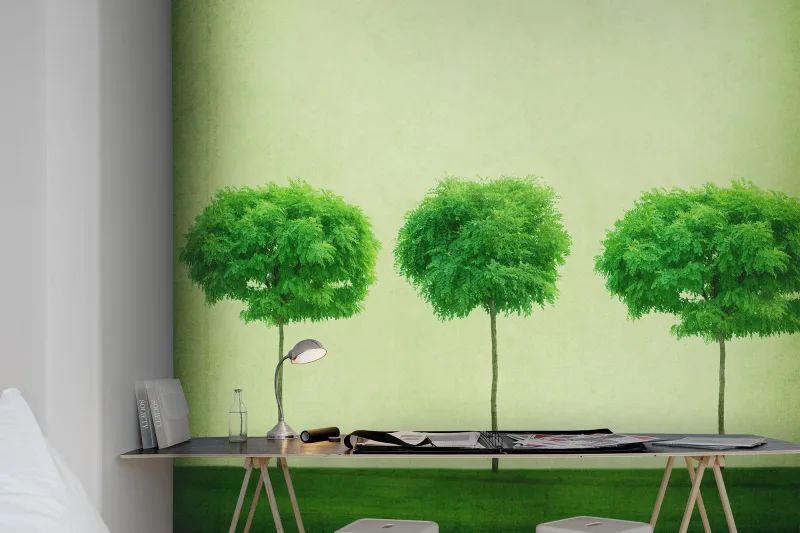 Fototapeta Three Trees Rebel Walls (3)