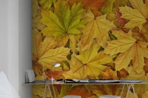 Fototapeta Autumn Leaves Rebel Walls R11931