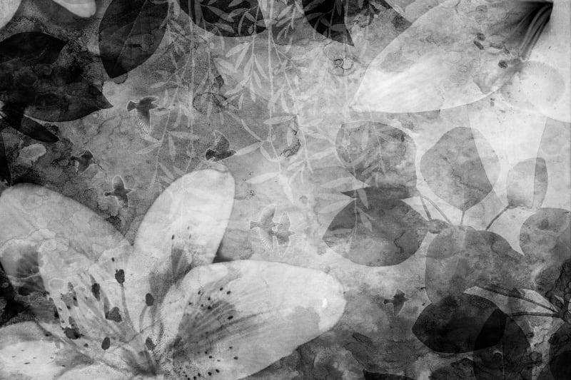 Fototapeta Garden of Dreams black & white Rebel Walls (1)