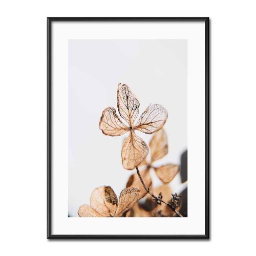 Obraz Boho G107039 31x41cm z ekspozycji