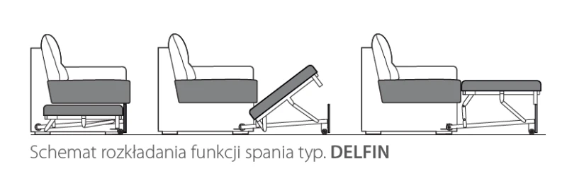 schemat rozkladania delfin