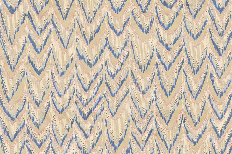 Fototapeta Fringed Follies custard.jpg