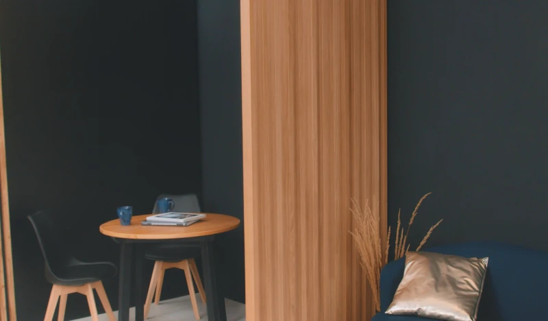 Scianka-dzialowa-w-salonie-inspiracja.png