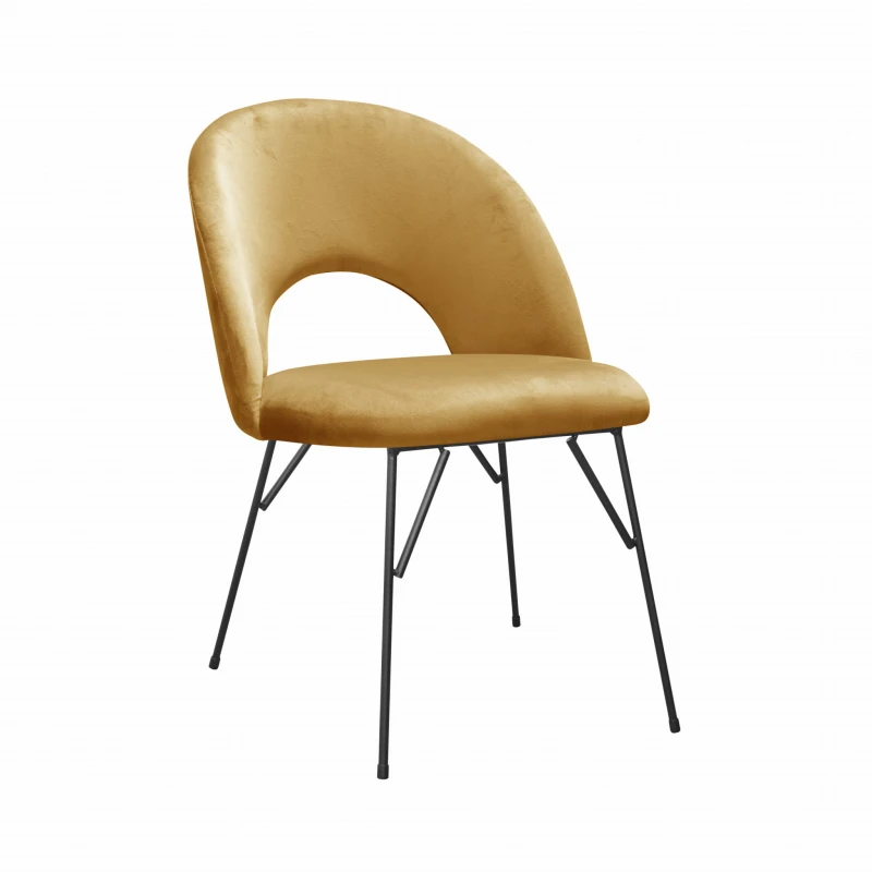 Abisso spider, fresh 37 (2).jpg