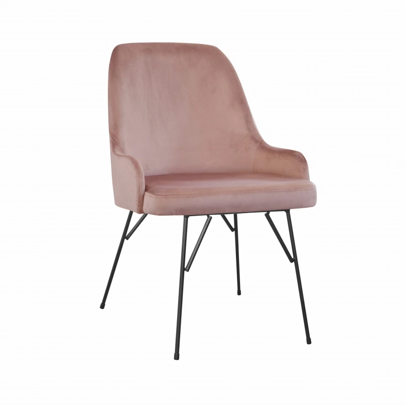 Andy spider, french velvet 682 (1).jpg