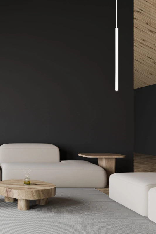 SELTER 1 WHITE 553/1 designerski spot wiszący halogen punktowy tuba biała długa 5