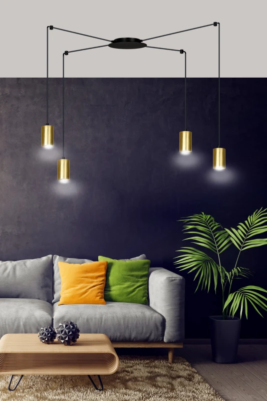 TRAKER 4 BL / GOLD 526/4 SPOT halogen punktowy dużo światła oryginalny DESIGN czarno złoty 5