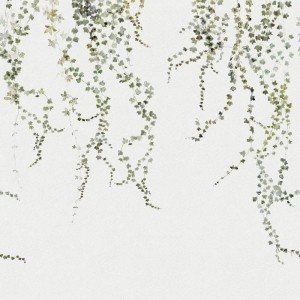 Fototapeta Aralia Moss Green Sandberg 640-04