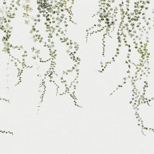 Fototapeta Aralia Moss Green Sandberg 640-04