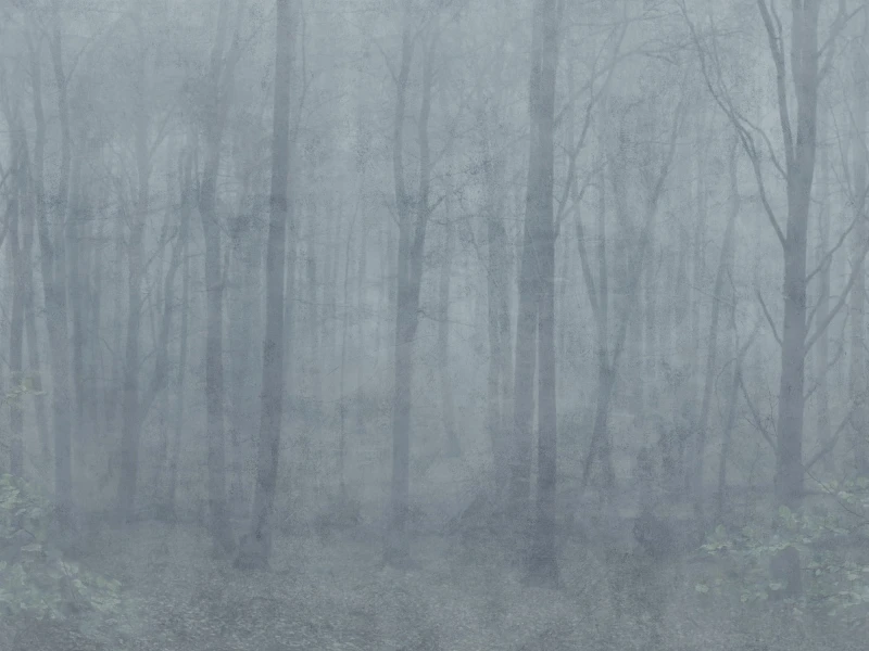 Jordnara Skog Misty Blue (1).jpg