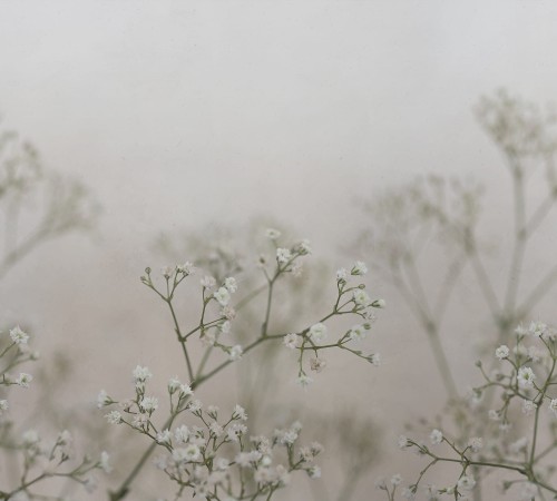 Fototapeta Julia Spring Green Jordnara Sandberg S10129