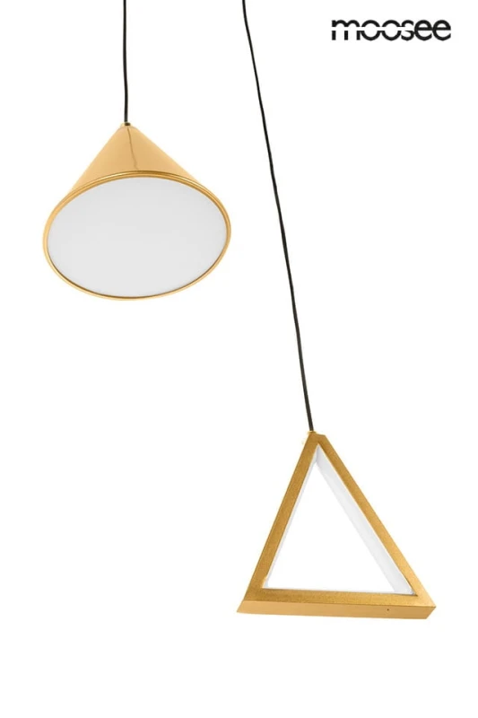 MSE010100331_acustica_zlota_5.jpg