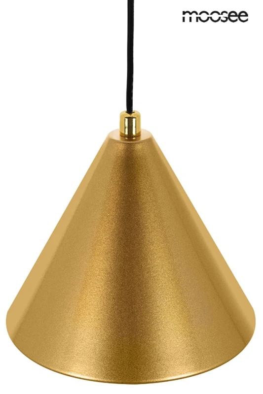 MSE010100331_acustica_zlota_4.jpg
