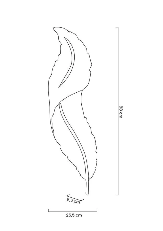 MSE010100387_ikar80.jpg