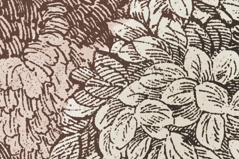 R18639_closeup1.webp