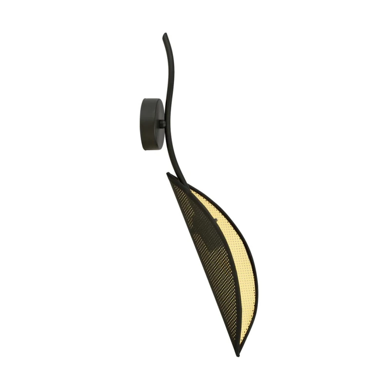 LOTUS K1 BLACK/GOLD 1