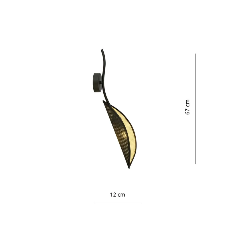 LOTUS K1 BLACK/GOLD 7