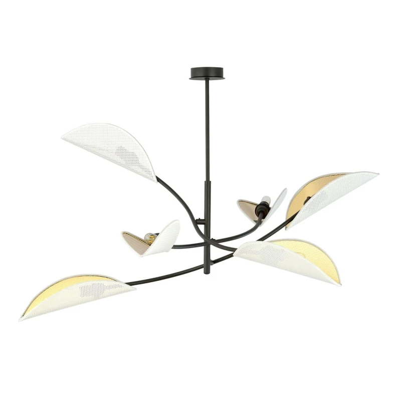 LOTUS 6 WHITE/GOLD 1