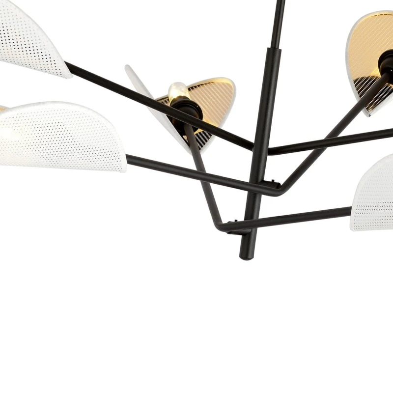 VENE 6 WHITE/GOLD 6