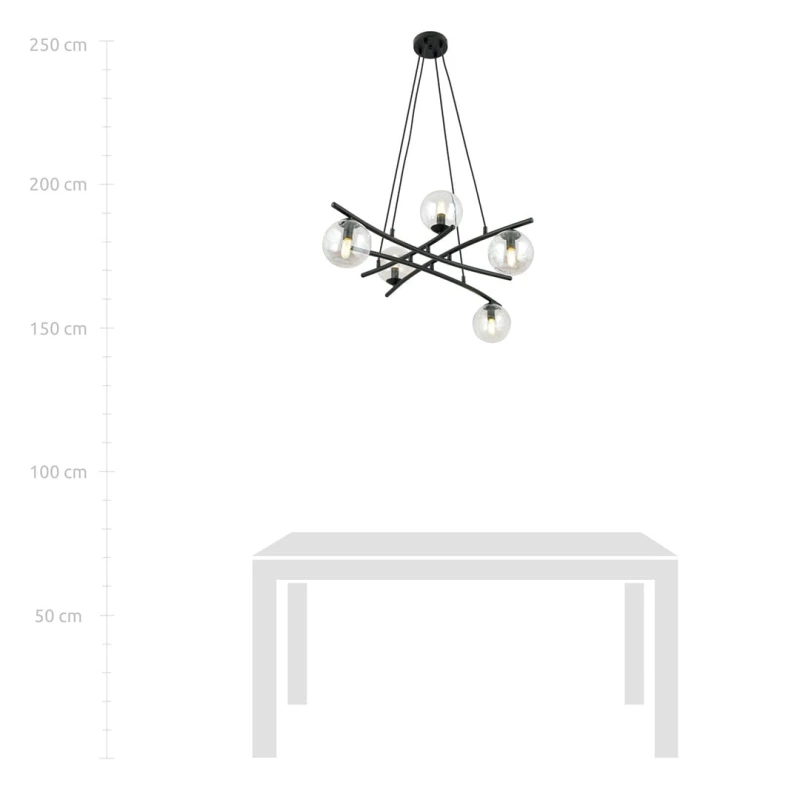 ESSA 5 TRANSPARENT 4