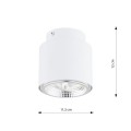 Lampa sufitowa Nano 1 White 7