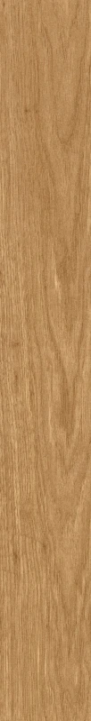 dąb_natura l3d.jpg