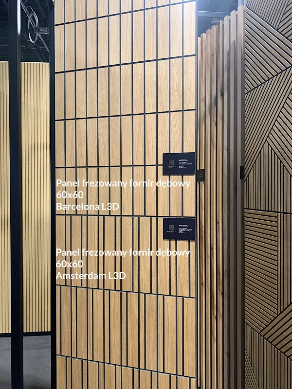 amsterdam barcelona panel.jpg