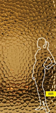 Panel zewnętrzny ze stali AISI 316– GOLD fala 005 122 x 243 cm SCD 