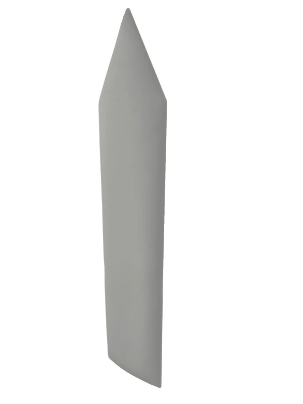 płotekszpiczasty mv 2239 (2).jpg