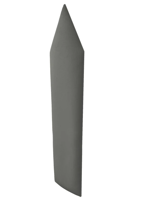 płotekszpiczasty mv 2241 (2).jpg