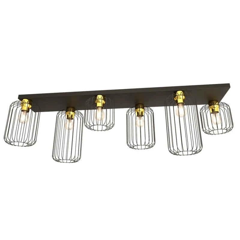 BARN 6 BL GOLD 1