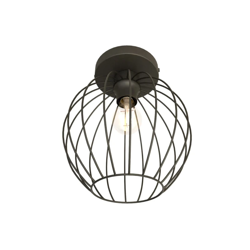 NEST 1 BL 1